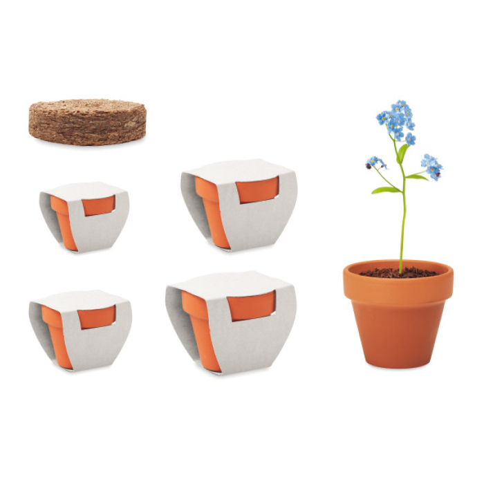 Choisissez l'une des 4 tailles de pots en terre cuite.