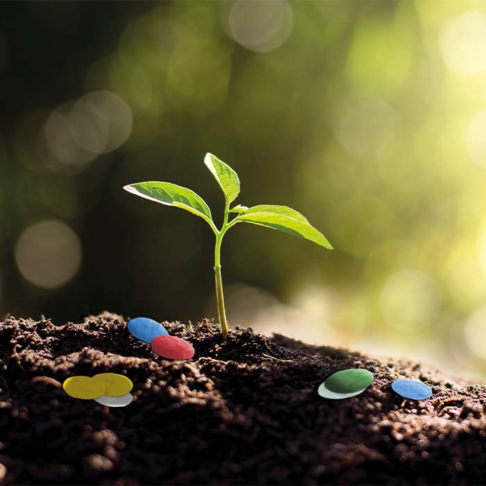 MG6904 Confettis en papier semences pour transformer votre jardin en un spectacle co... publicitaire personnalisé - vue 2