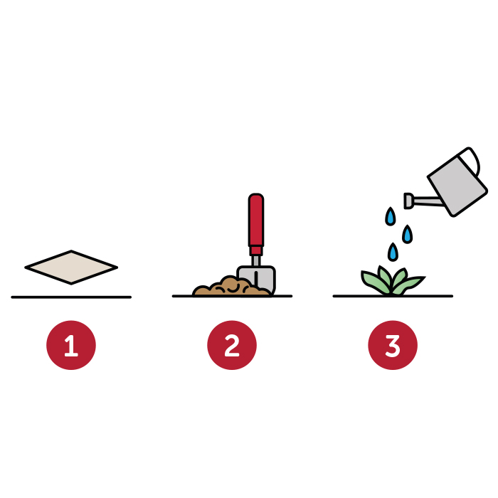 MG6907 Carte de visite en papier semences imprimée en quadri. publicitaire personnalisé - vue 3