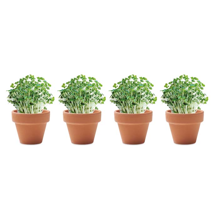 YC6886 Choisissez 4 graines différentes pour ce lot de 4 pots en terre cuite. publicitaire personnalisé - vue 3