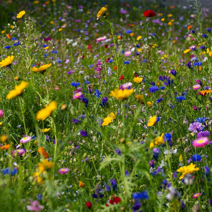 YC6906 Les lanyards fabriqués à partir de papier. publicitaire personnalisé - vue 4