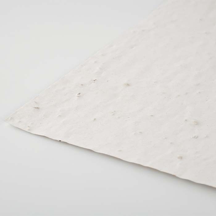 YC6914 Papier semences de format A4 avec votre motif imprimé (image photo). publicitaire personnalisé - vue 8